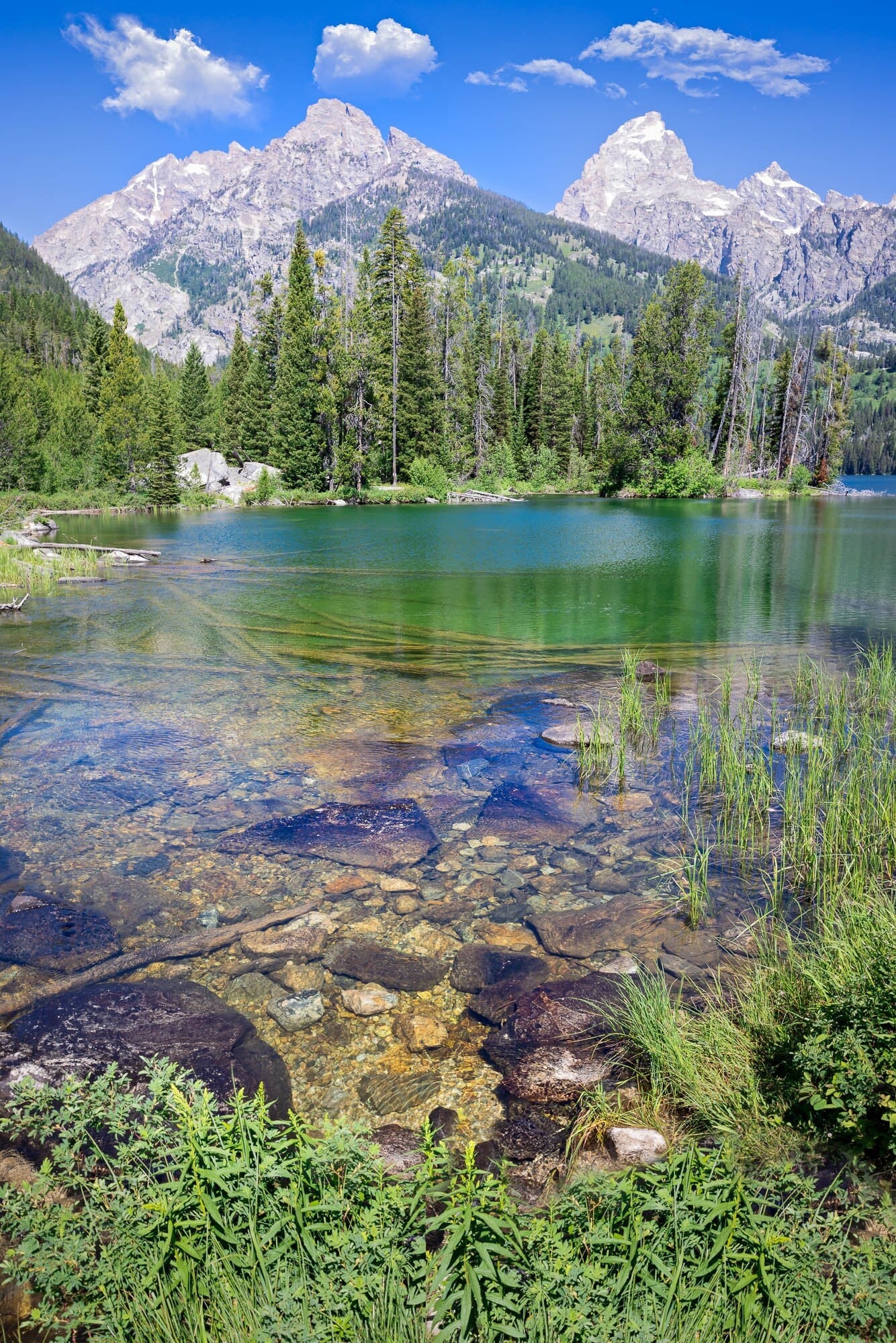 Taggart Lake Grand Teton National Park, Vertical Mountain Lake Reflection Photo Canvas, Wyoming Landscape Wall Art Prints, Photography Decor