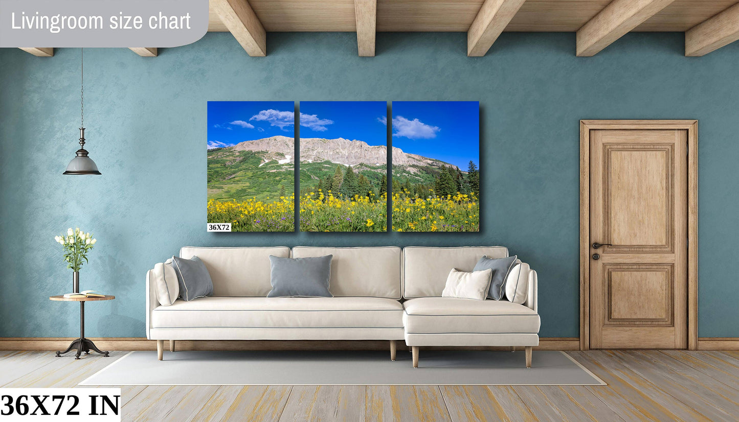 Crested Butte Colorado Mountain Wildflowers Photo, Photography Landscape Canvas Wall Art Print, Large Original Fine Art Decor Home or Office