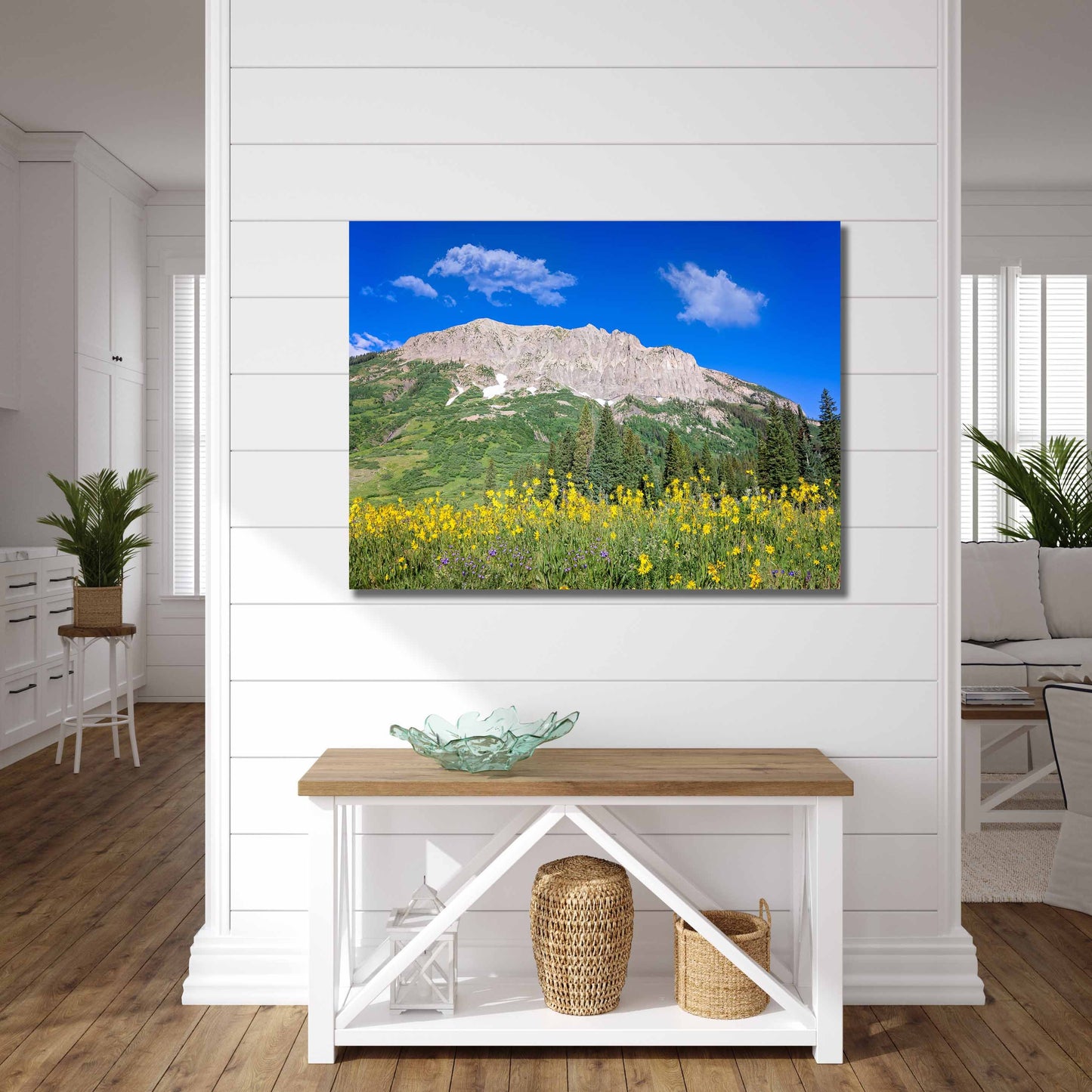 Crested Butte Colorado Mountain Wildflowers Photo, Photography Landscape Canvas Wall Art Print, Large Original Fine Art Decor Home or Office