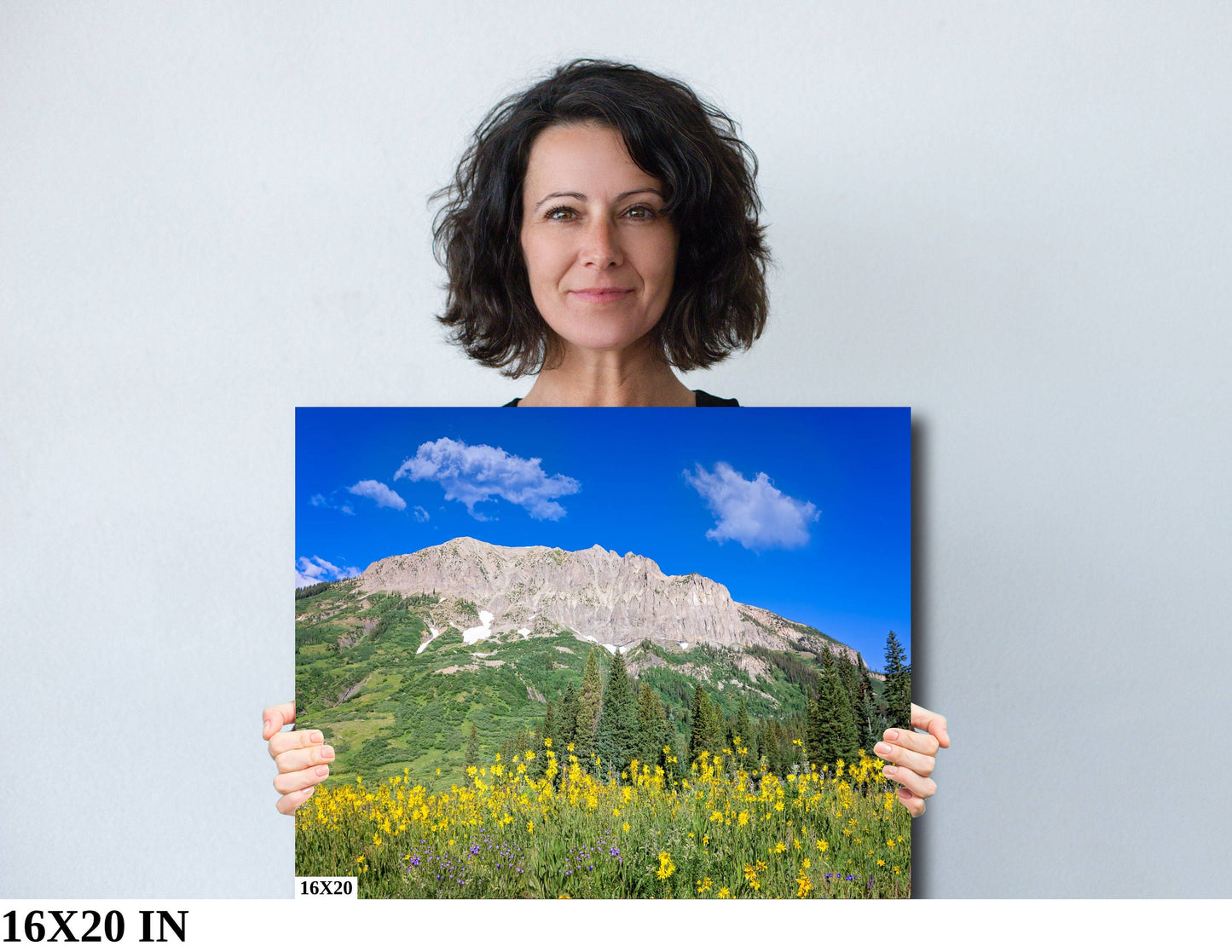 Crested Butte Colorado Mountain Wildflowers Photo, Photography Landscape Canvas Wall Art Print, Large Original Fine Art Decor Home or Office