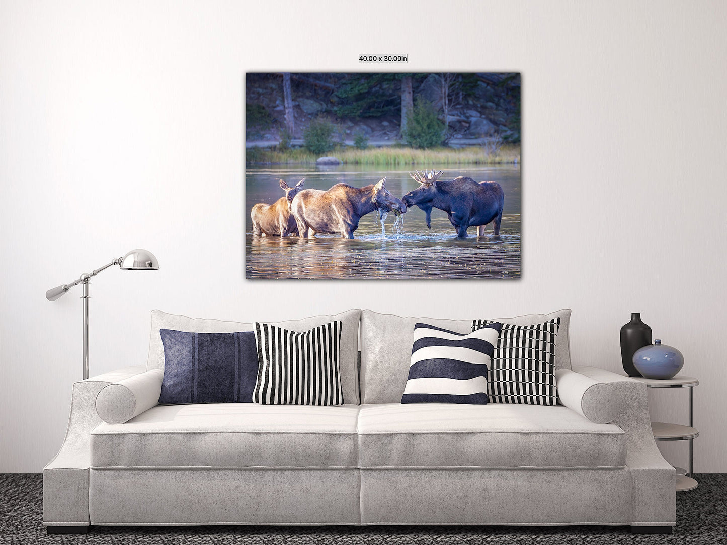 Moose Family Photo, Rocky Mountain National Park, Wildlife Wall Canvas, Colorado Nature Photography Canvas Art Prints, Made in the USA