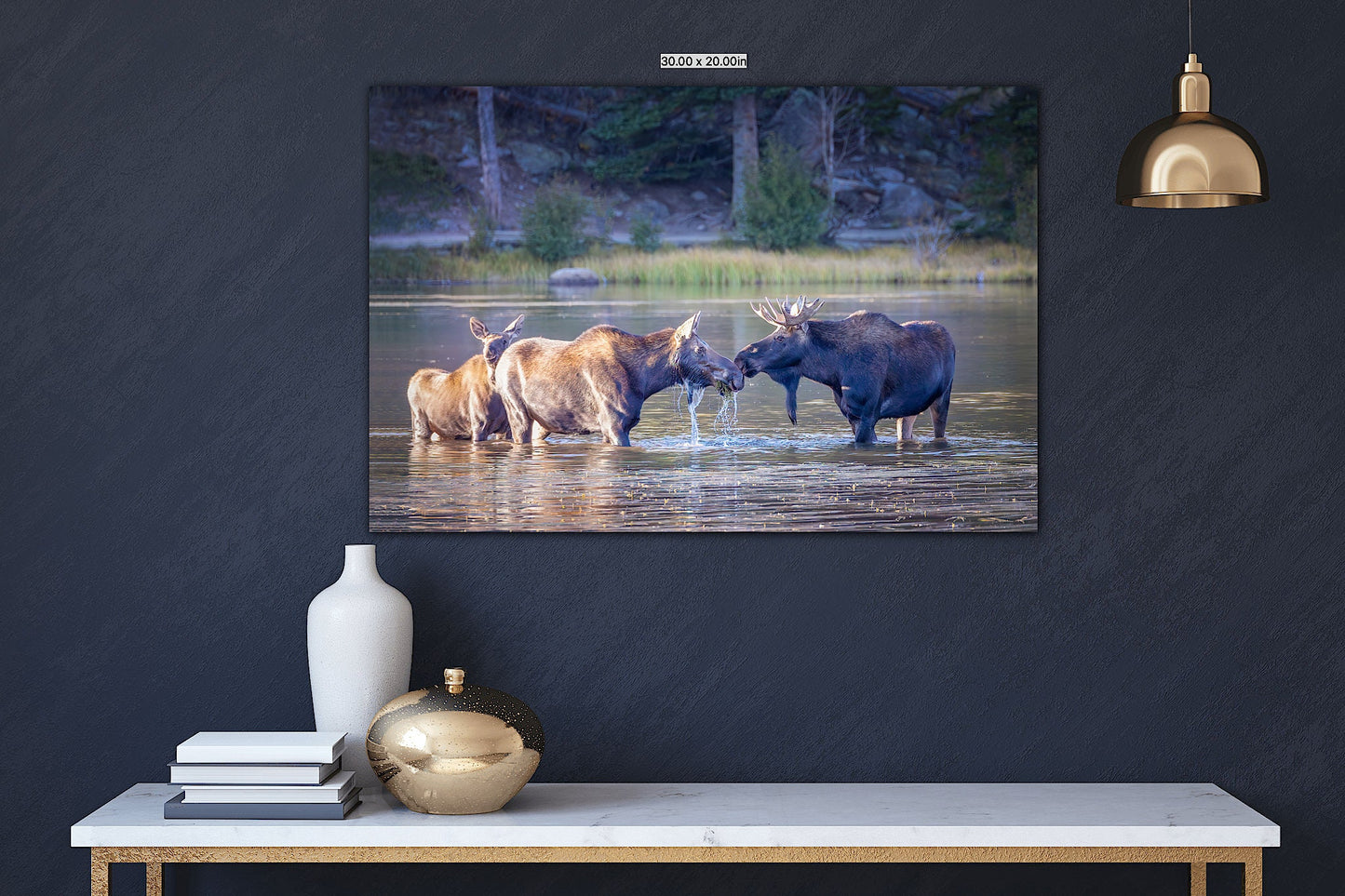 Moose Family Photo, Rocky Mountain National Park, Wildlife Wall Canvas, Colorado Nature Photography Canvas Art Prints, Made in the USA