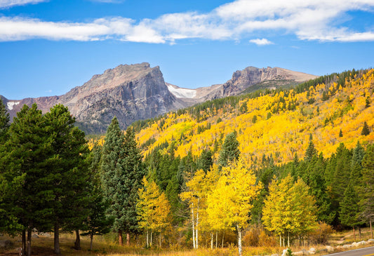 Hallett Peak in Autumn Rocky Mountain National Park, Colorado Fall Landscape Canvas Wall Art, Mountain Scene Decor for Home or Office