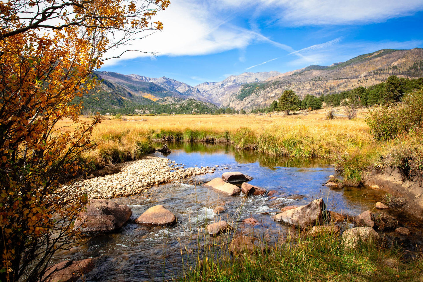 Moraine Park in Autumn Rocky Mountain National Park, Colorado Fall Landscape Canvas Wall Art, Mountain Scene Decor for Home or Office