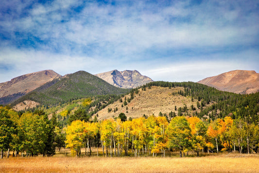 Rocky Mountain National Park Autumn Aspens, Horseshoe Park, Colorado Landscape Canvas Wall Art, Beautiful Scenery, Home and Office Decor