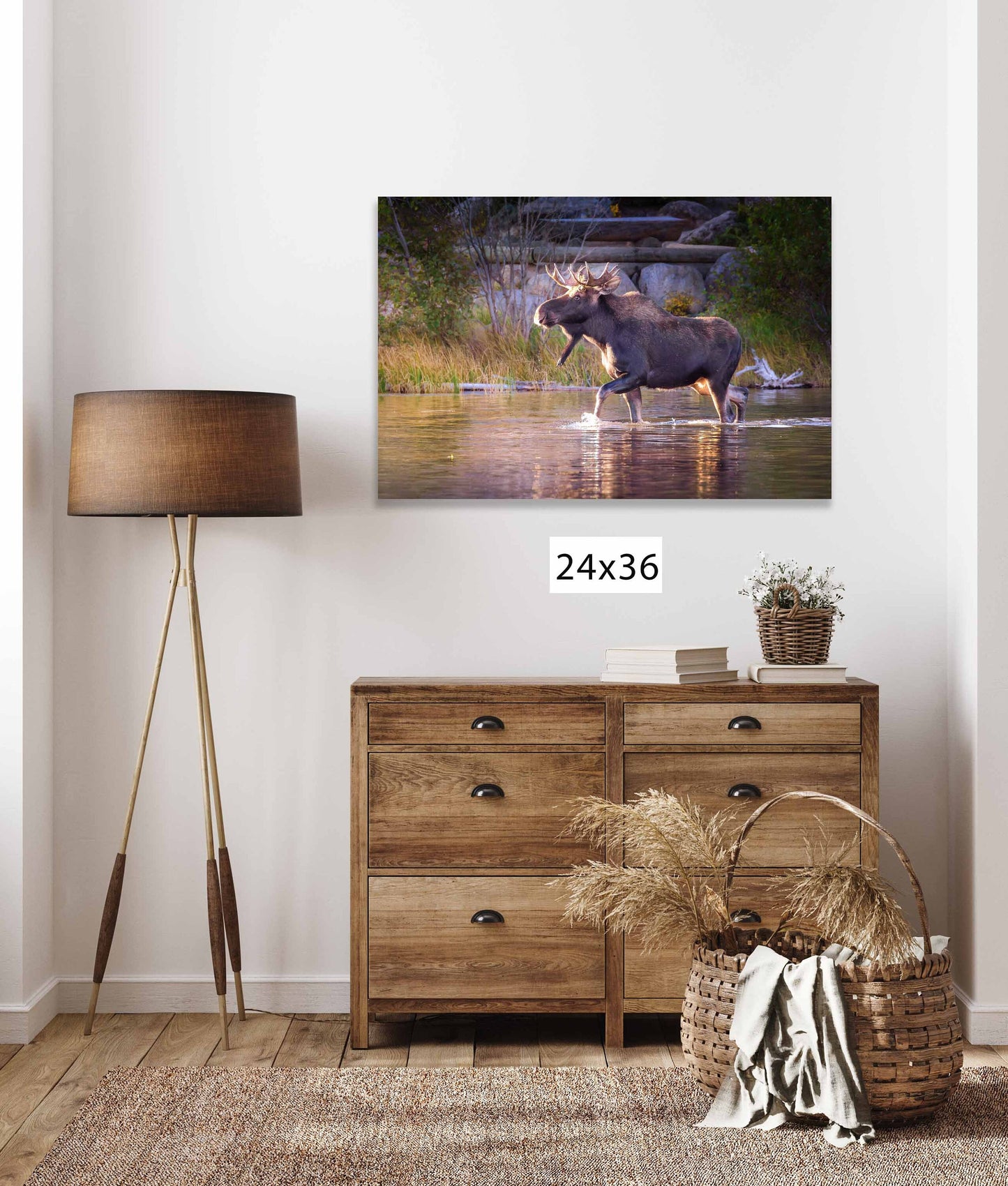 Bull Moose Wildlife Wall Canvas, Rocky Mountain National Park, Colorado Art Prints, Moose Photography, Original, Made in the USA