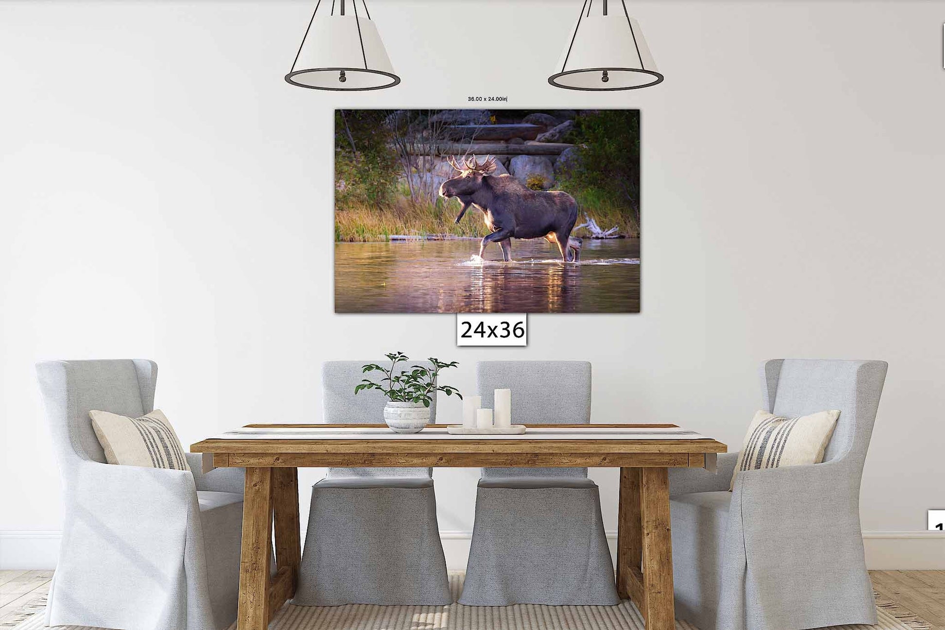 Bull Moose Wildlife Wall Canvas, Rocky Mountain National Park, Colorado Art Prints, Moose Photography, Original, Made in the USA