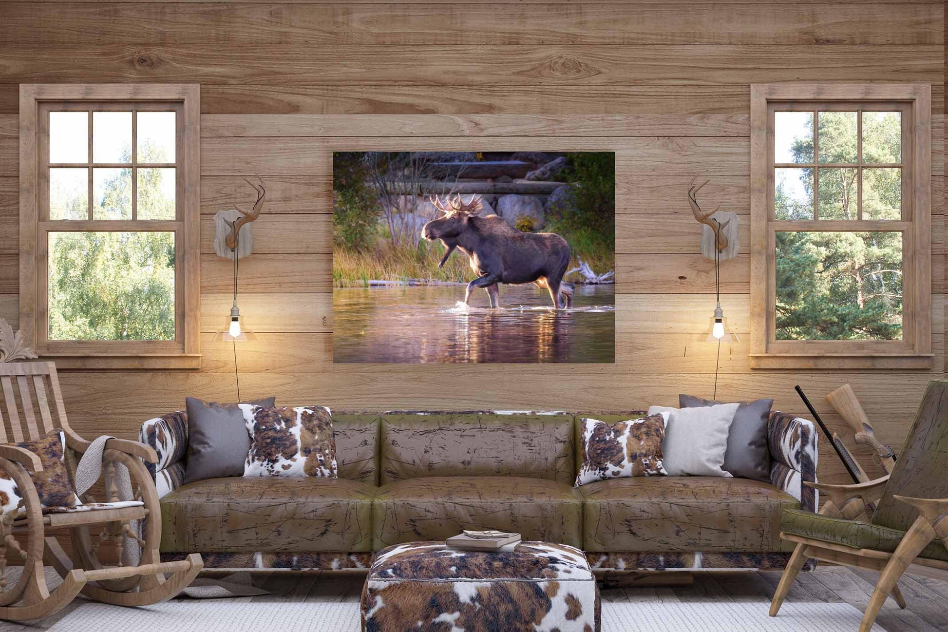 Bull Moose Wildlife Wall Canvas, Rocky Mountain National Park, Colorado Art Prints, Moose Photography, Original, Made in the USA