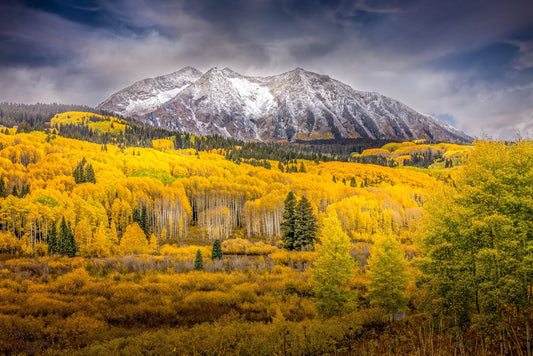 Colorado Autumn Aspens Art, Crested Butte Mountain Photo Landscape Print, Kebler Pass Nature Canvas Scenery, Rocky Mountain Large Wall Art