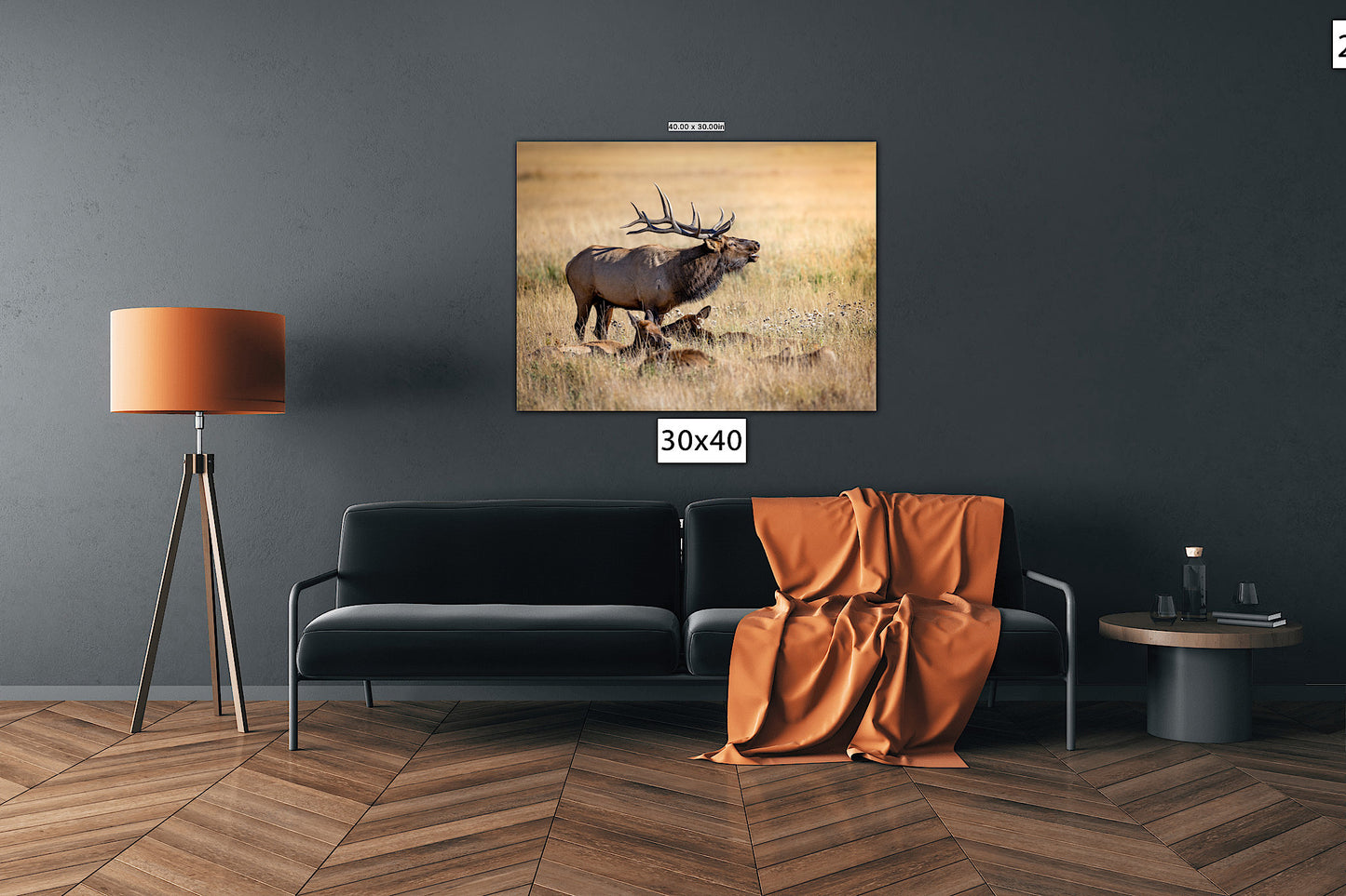 Bull Elk Bugling, Wildlife Wall Canvas, Rocky Mountain National Park, Colorado Canvas Art Prints, Original Elk Photography, Made in the USA