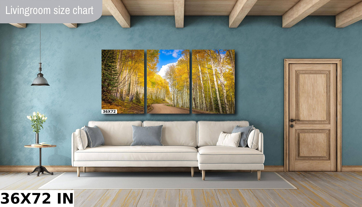 Aspen Tree Autumn Photography, Colorado Golden Aspens, Kebler Pass Crested Butte, Rocky Mountain Landscape, Large Canvas Nature Wall Art