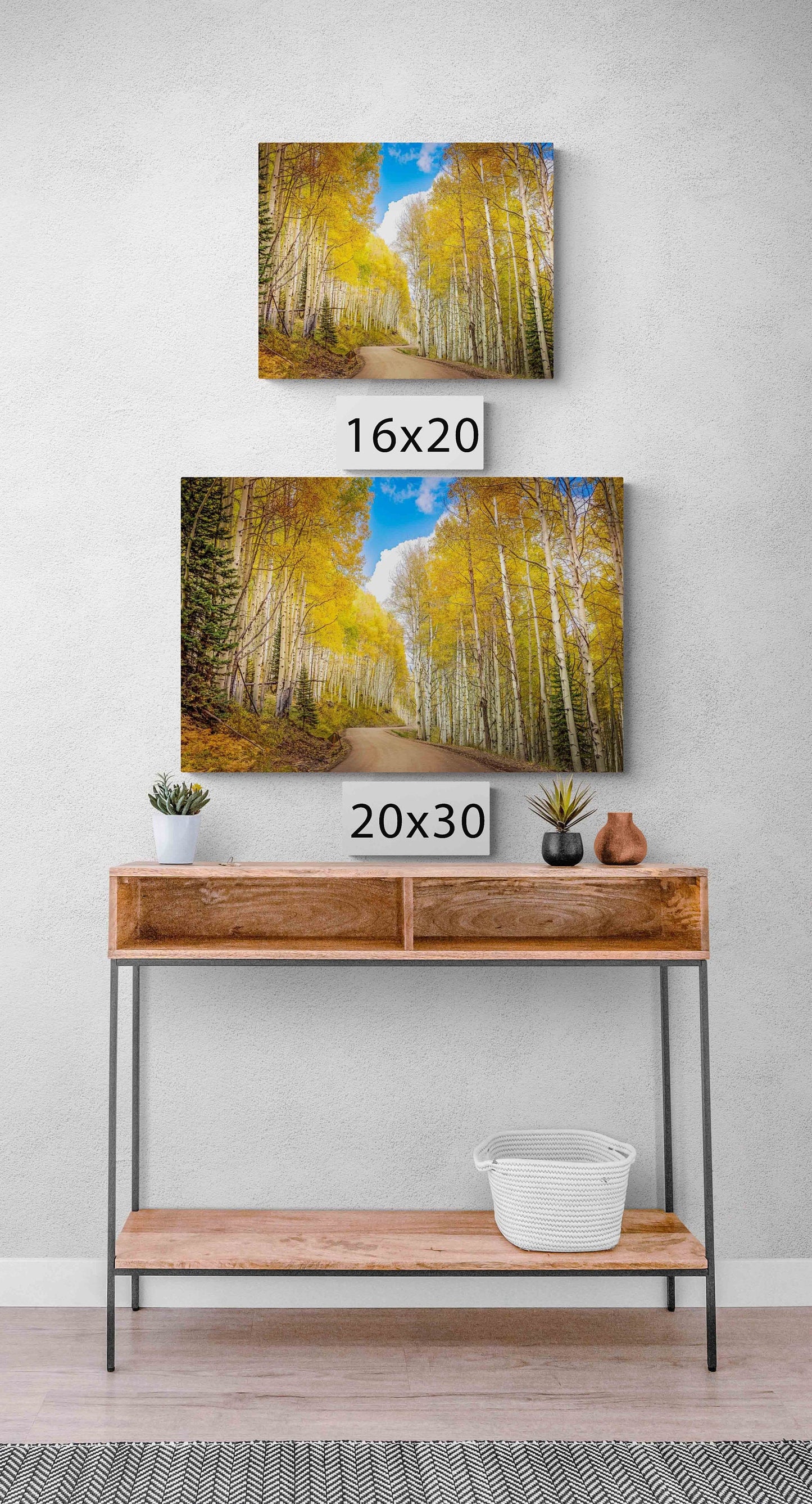 Aspen Tree Autumn Photography, Colorado Golden Aspens, Kebler Pass Crested Butte, Rocky Mountain Landscape, Large Canvas Nature Wall Art