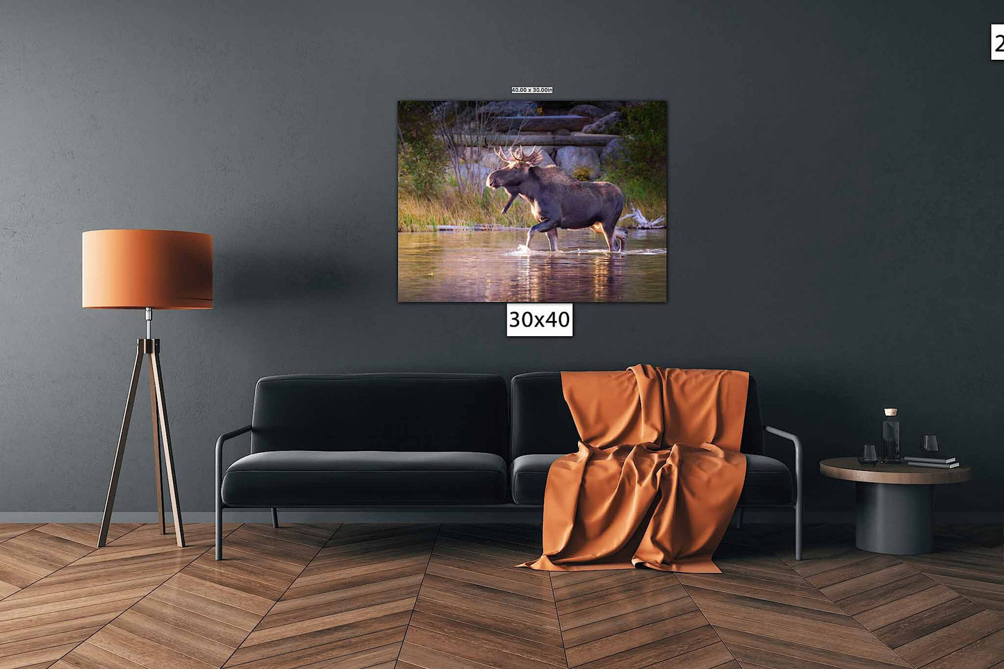 Bull Moose Wildlife Wall Canvas, Rocky Mountain National Park, Colorado Art Prints, Moose Photography, Original, Made in the USA