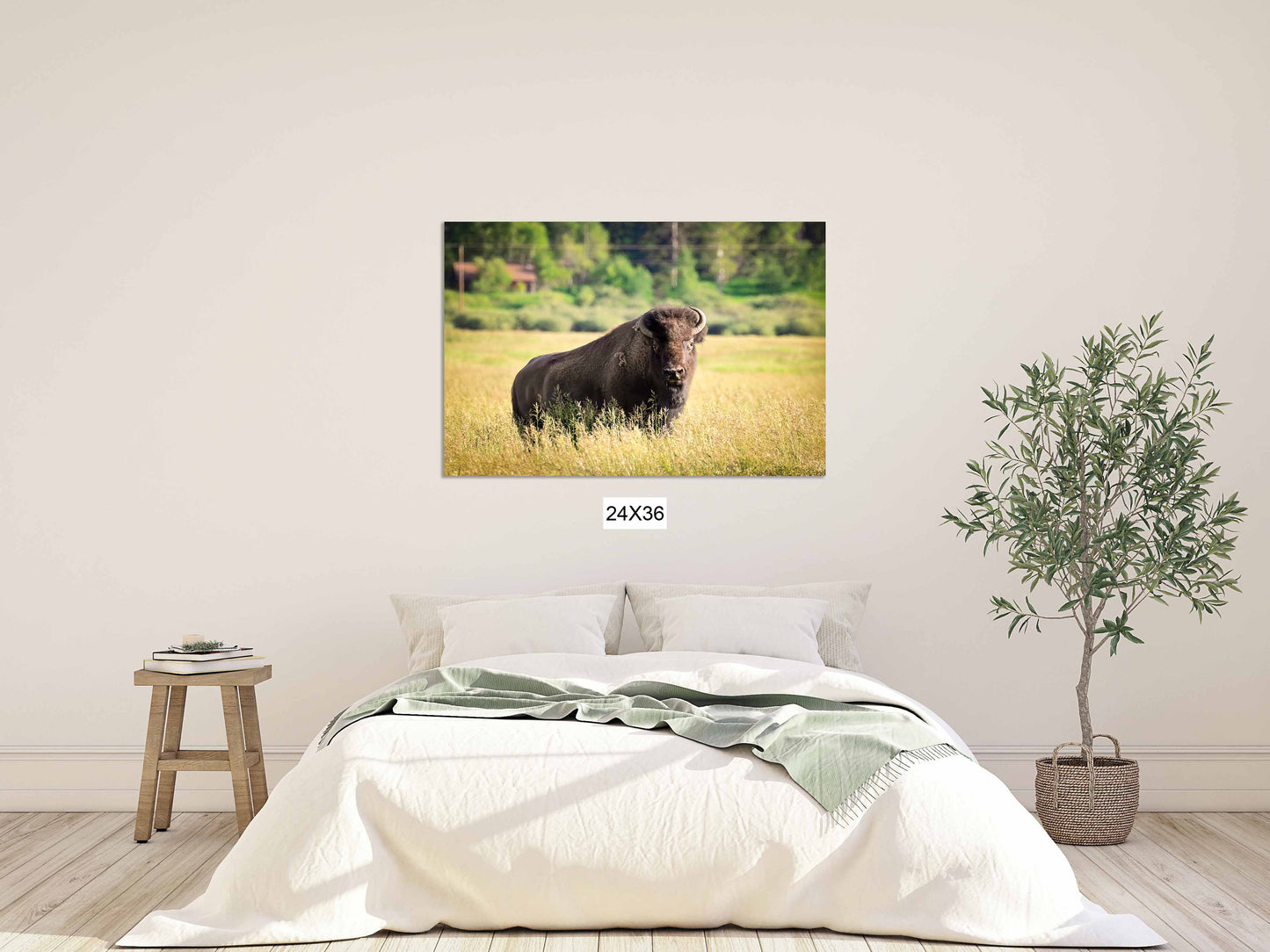 Buffalo Bison Photograph Canvas Print, Yellowstone National Park Wildlife Photography, Wildlife Wall Art Decor, USA Original Photographer