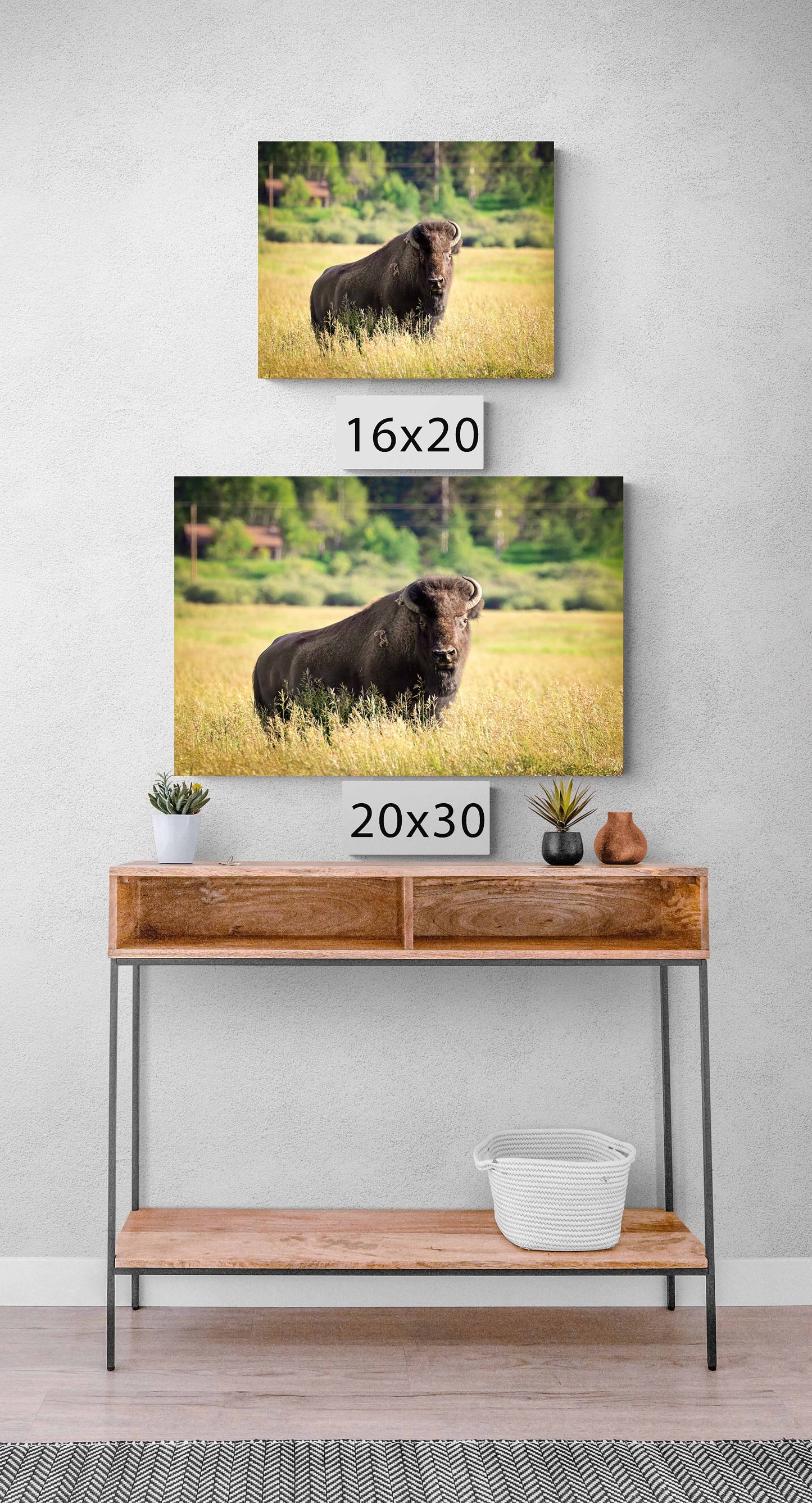 Buffalo Bison Photograph Canvas Print, Yellowstone National Park Wildlife Photography, Wildlife Wall Art Decor, USA Original Photographer