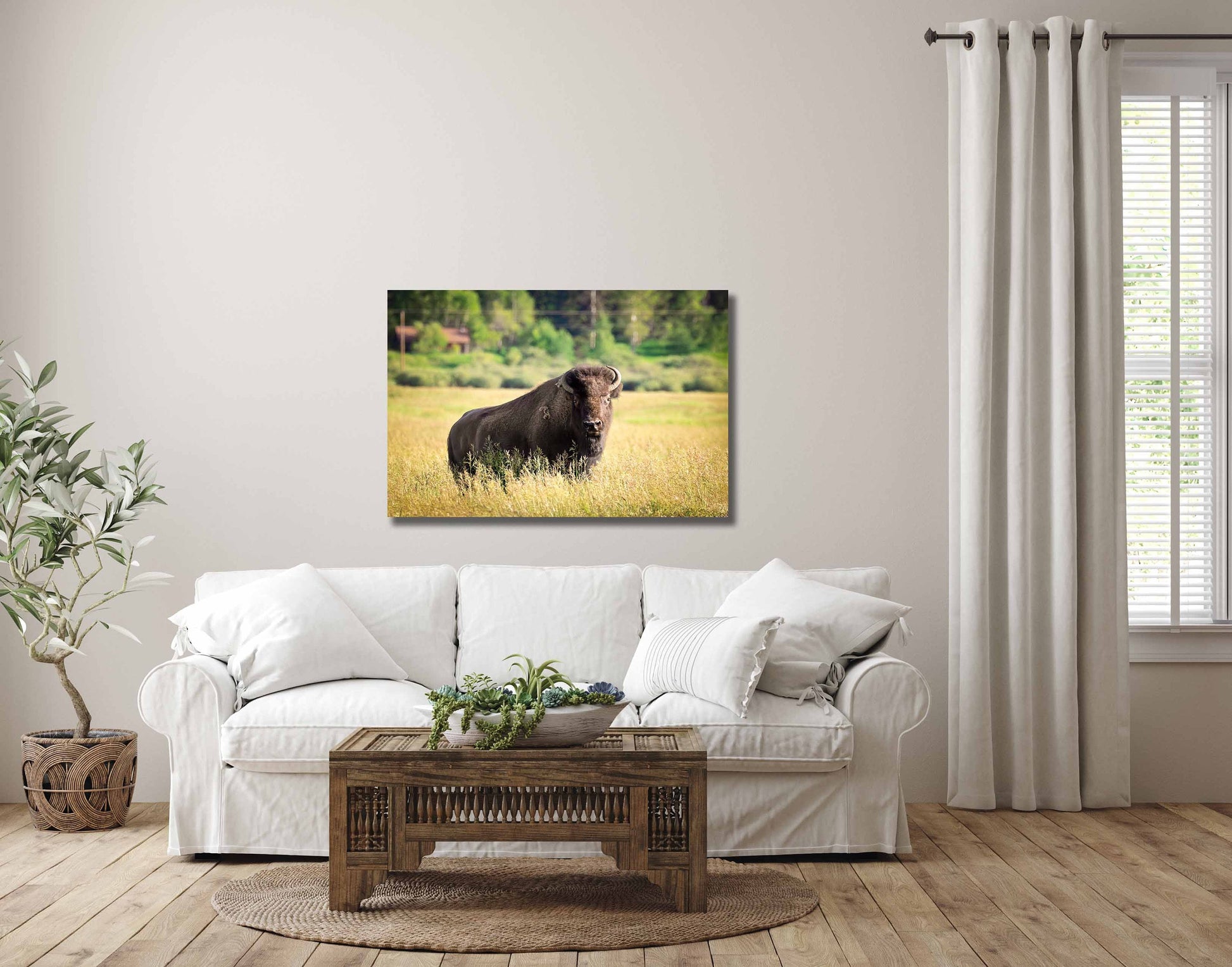 Buffalo Bison Photograph Canvas Print, Yellowstone National Park Wildlife Photography, Wildlife Wall Art Decor, USA Original Photographer