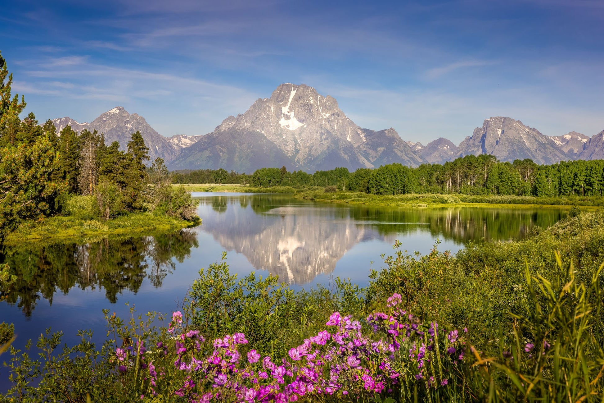 Grand Teton Metal or Acrylic Print, National Park Landscape Photography, Mountain Wildflower Reflection Wall Art, Large Wyoming Home Decor