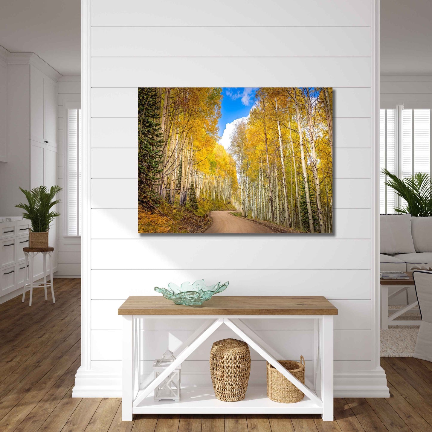 Aspen Tree Autumn Photography, Colorado Golden Aspens, Kebler Pass Crested Butte, Rocky Mountain Landscape, Large Canvas Nature Wall Art