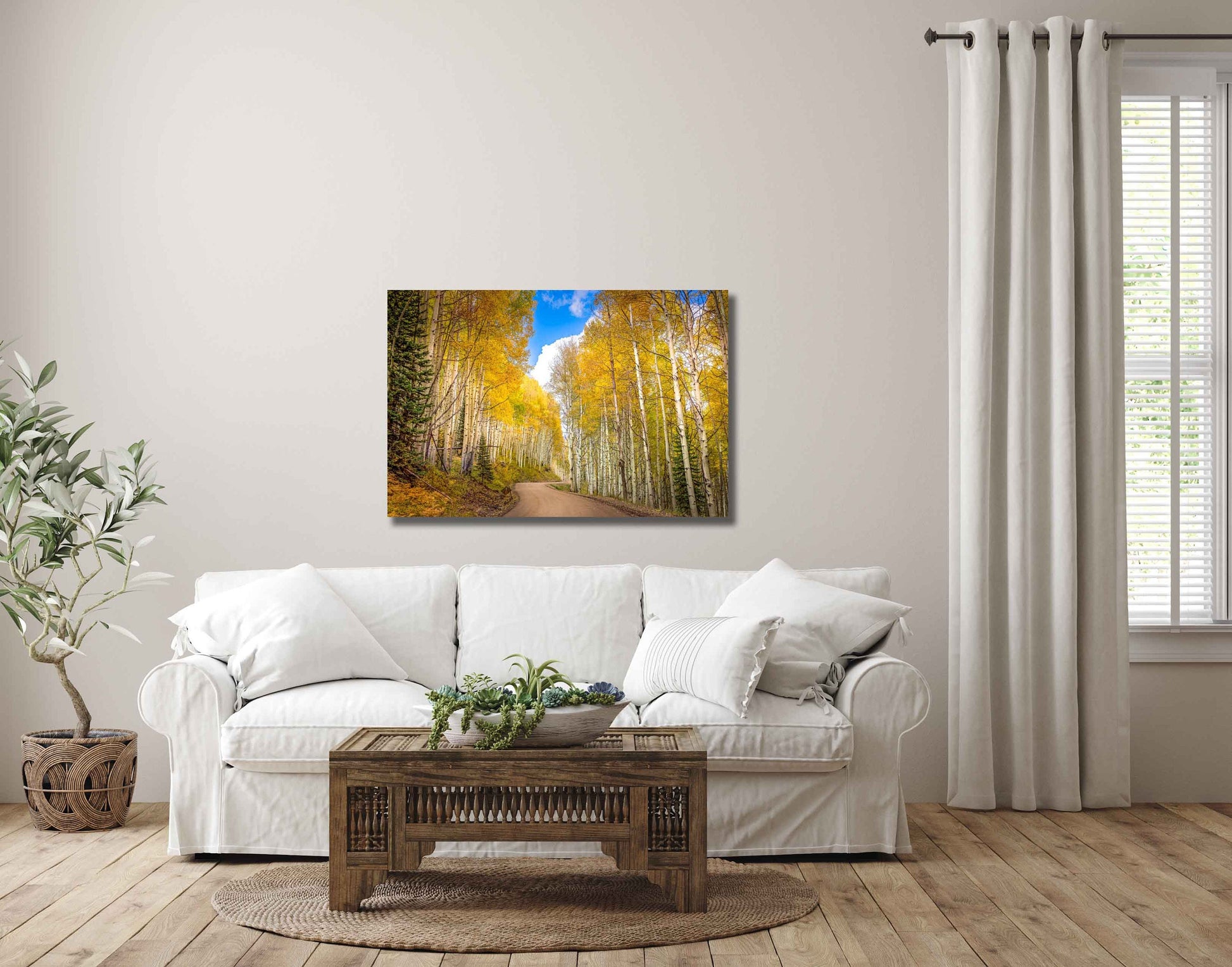 Aspen Tree Autumn Photography, Colorado Golden Aspens, Kebler Pass Crested Butte, Rocky Mountain Landscape, Large Canvas Nature Wall Art